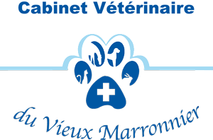Cabinet vétérinaire du vieux marronnier - Guy VanHemelen